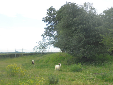 landgeiten