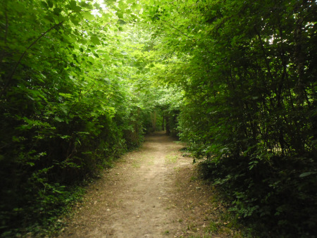 door het hellingbos