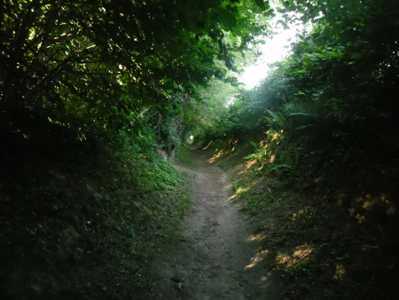 mooie holle weg