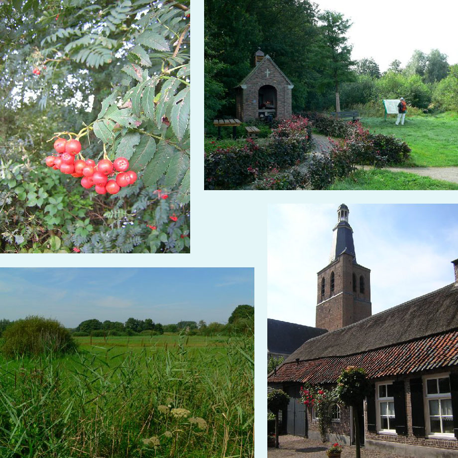 lijsterbessen, St. Martinuskapel, Dommelbeemden, toren van St. Oedenrode