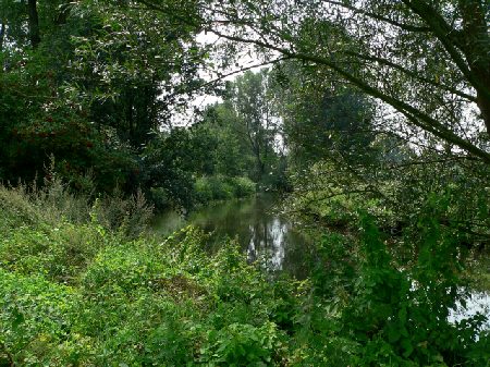 en nog eens de Dommel