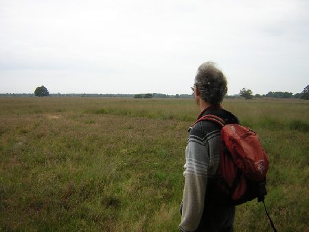 blik over de heide