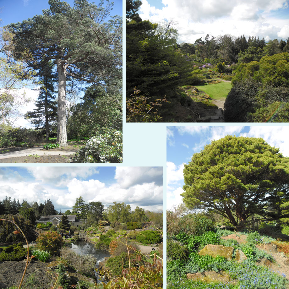 nog meer botanische tuin