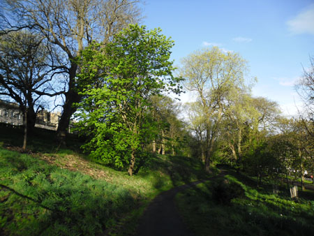 in London Road Gardens