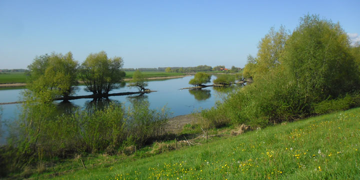 zicht op de IJssel