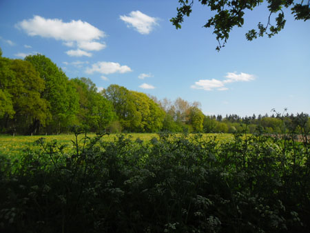 kleinschalig landgoed Keppel