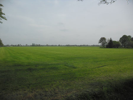 zoek de verschillen