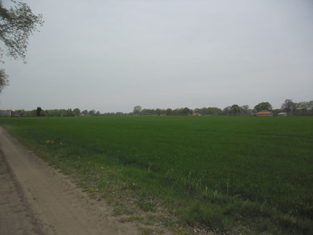 zoek de verschillen