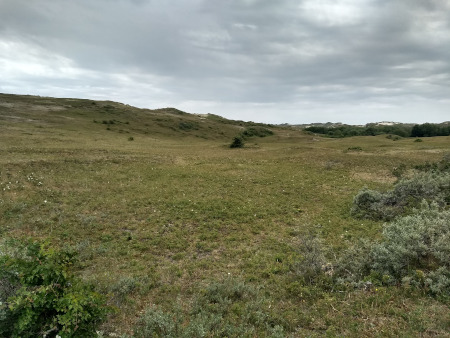 nog maar eens duinen