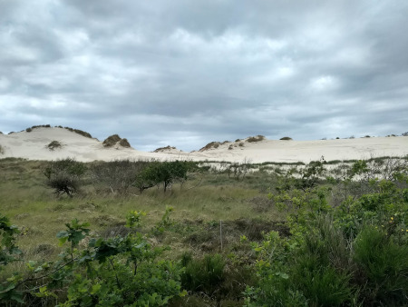 nog maar eens stuifzand