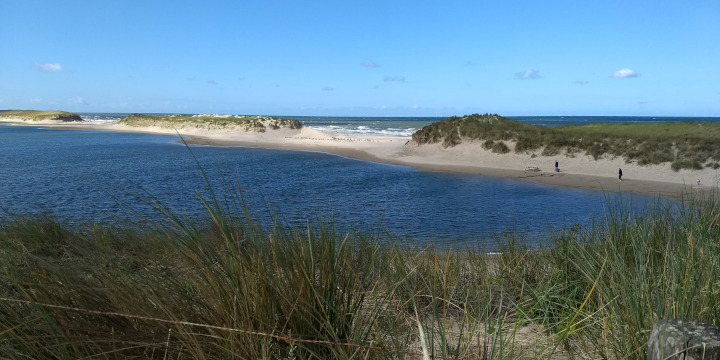lagune bij Camperduin