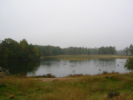 flink koppel brandganzen
