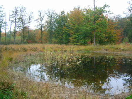 pff, eindelijk een bankje!