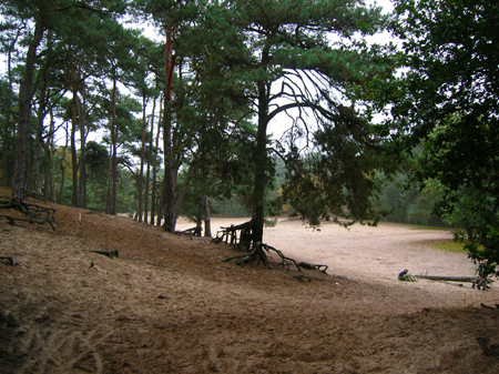 zandverstuiving bij Dongen