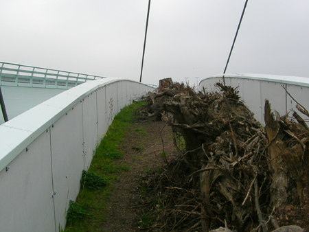 met speciaal ecoduct