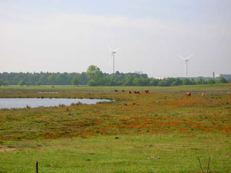 het Leikeven van de andere kant