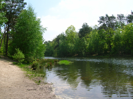 water op de Loonse en Drunense Duinen