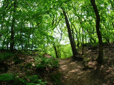 goed voor de kuitspieren