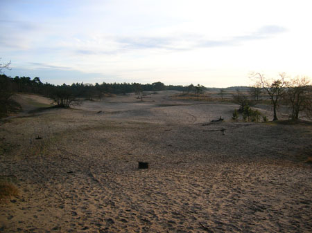 Loonse en Drunense Duinen - nogmaals