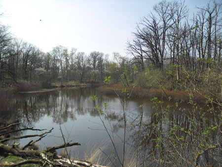 lunet op de Vughtse Heide