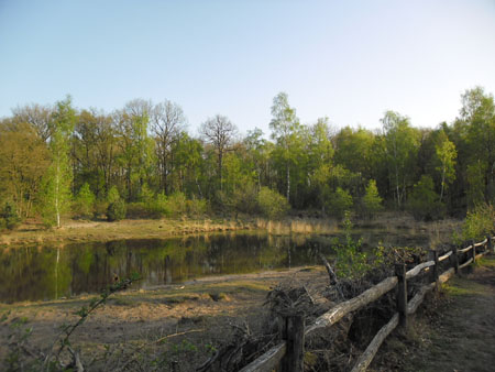 water op de Vughtse Heide