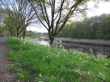 Drongelens kanaal