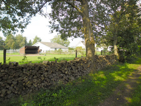 alvast een voorraadje voor de winter