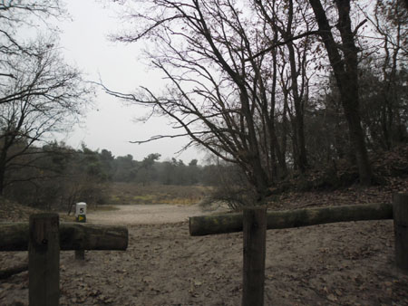 zandverstuiving op de Maashorst