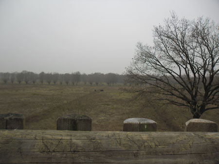 vanaf de uitkijktoren