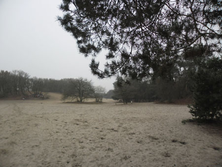 zandverstuiving Bedafse Bergen