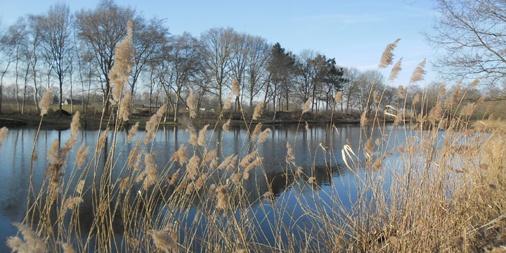 Peellandschapspark Voskuilenheuvel