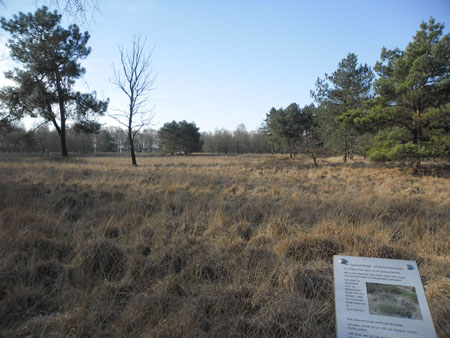 pijpenstrootje in woord en beel