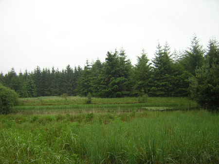 water in de Stippelberg