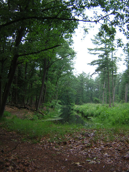 slootje in de Stippelberg