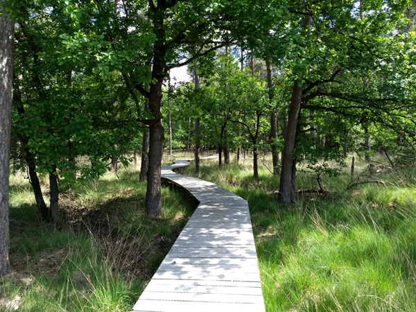 onverwacht knuppelbruggetje
