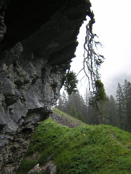 de omgekeerde wereld