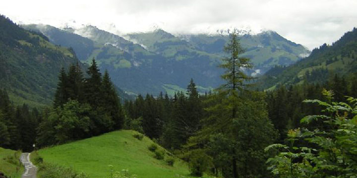 sneeuw op alle bergtoppen
