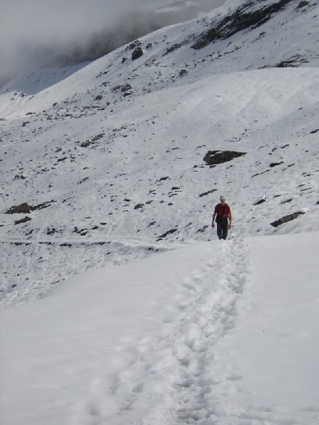 in t-shirt door de sneeuw