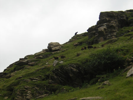 de bewoners van dit dal