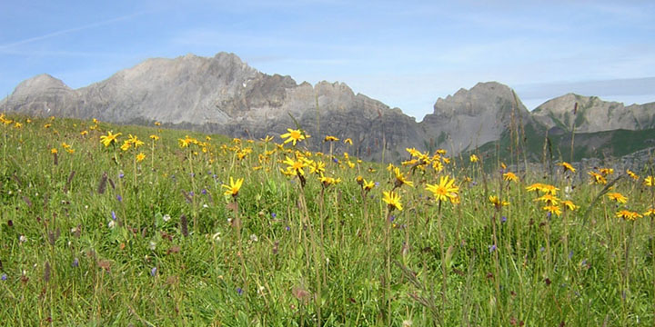 rondom uitzicht op de Jegertosse