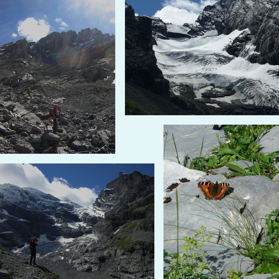 naar beneden, gletsjer, fotograaf, kleine vos