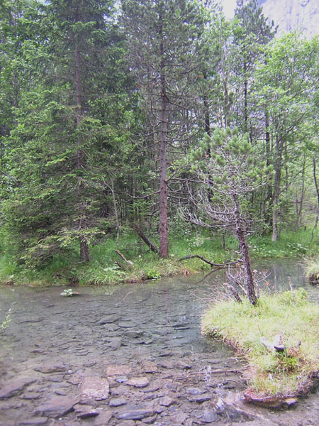 wat borrelt hier toch?