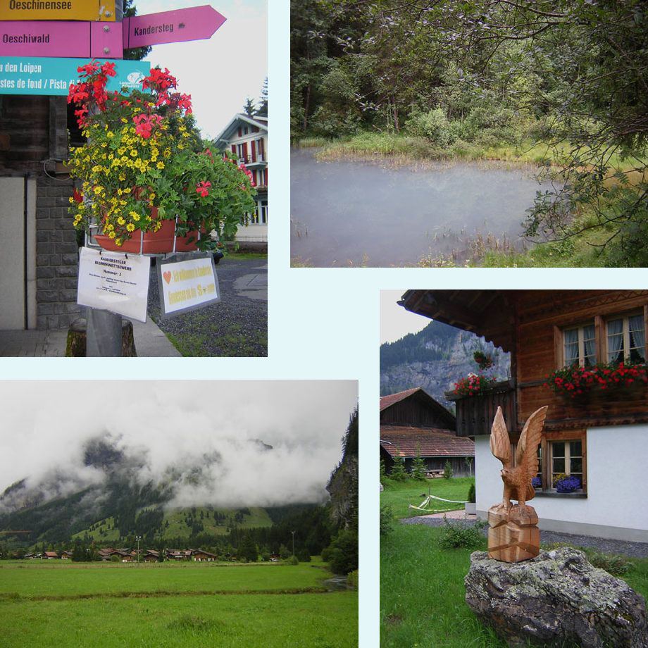 goed voor de eerste prijs?, Muggeseeli, blik op ons huisje, houtsnijwerk in een tuin