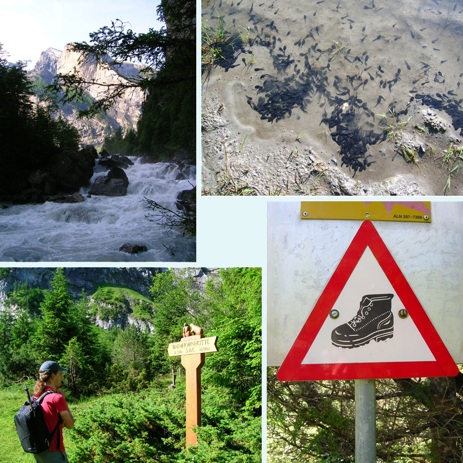 woeste Kander, veel kikkervisjes, instap huttenpad, denk om je bergschoenen!