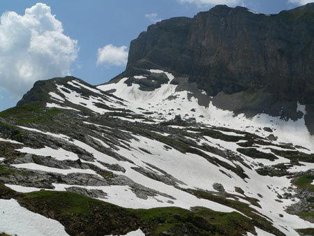 Schwarzgratli met sneeuw