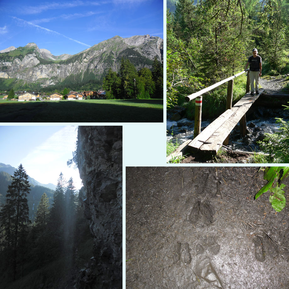 in de ochtendzon, oversteekje, watergordijn, sporen