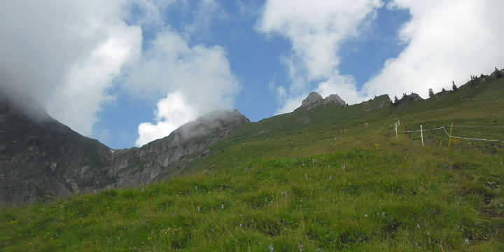 vochtig weer op de Golitschenalp