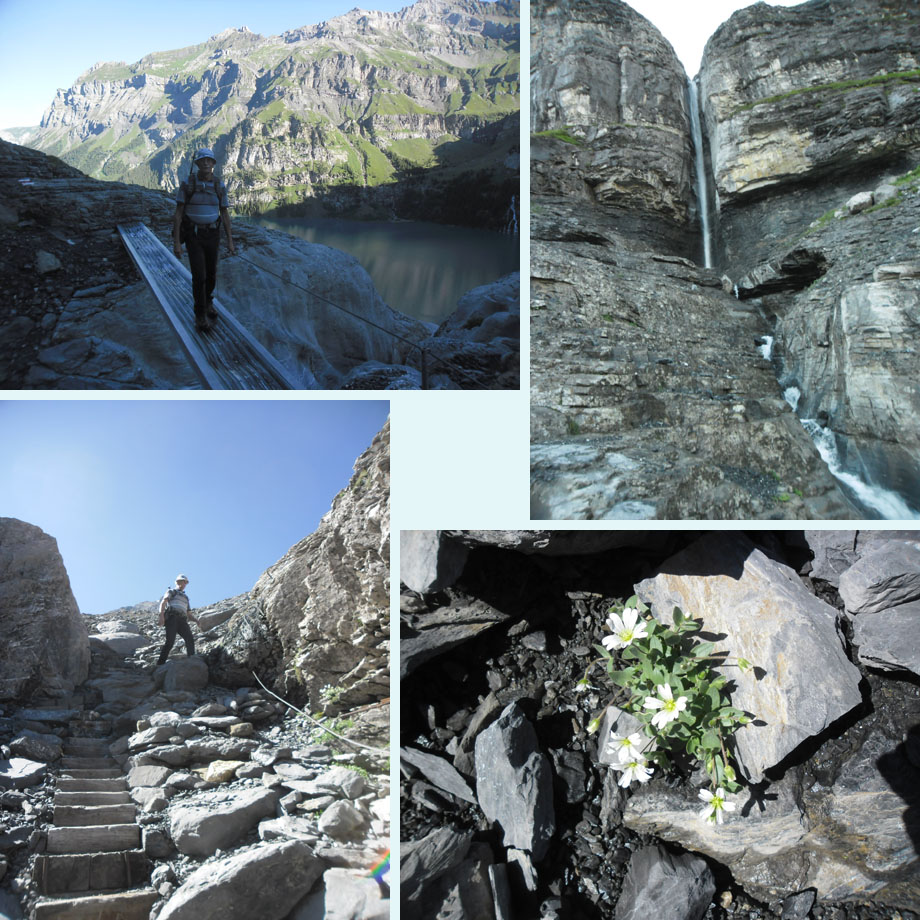 een van de drie, waterval, trappetje, hoornbloem