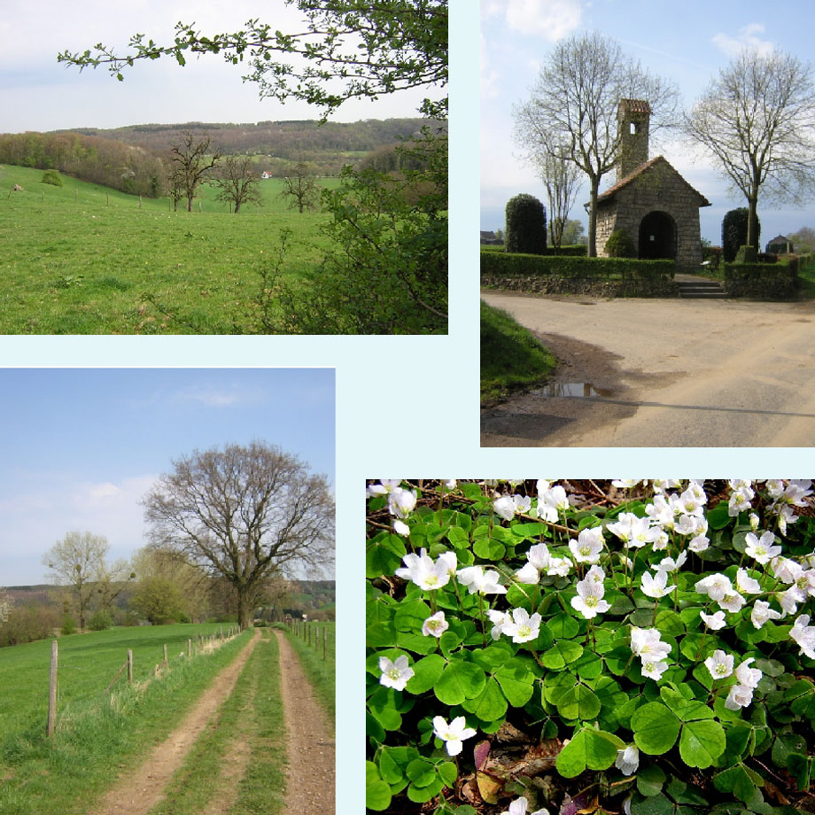 uitzicht, kapel van Schilberg, landweggetje, klaverzuring