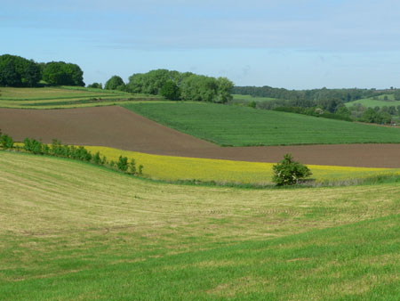 door de velden naar Crapoel